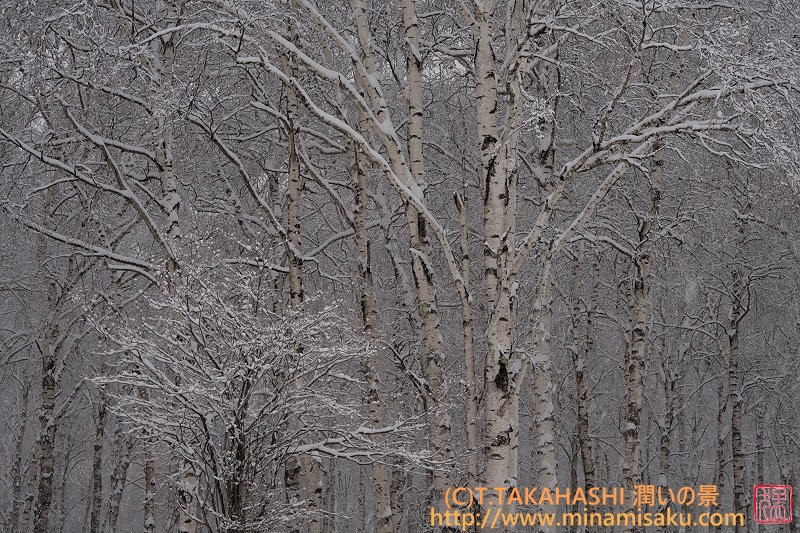 ../Images/7R250303 (193).jpg